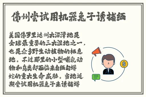 东南亚12—14小小